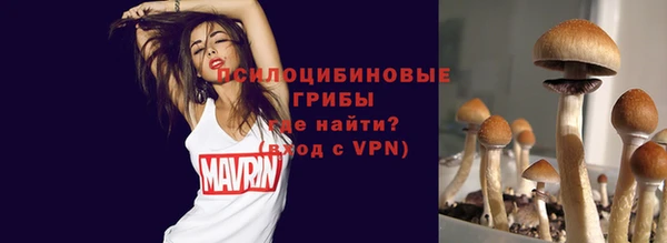 прущий лед Верея