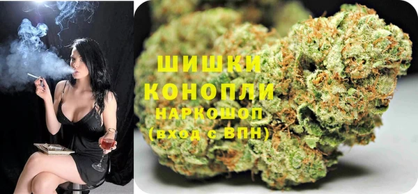 мдпв Бронницы