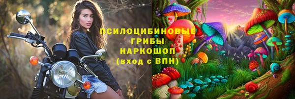 мдпв Бронницы