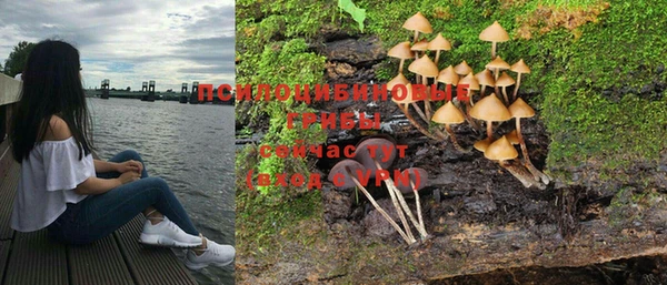 мдпв Бронницы