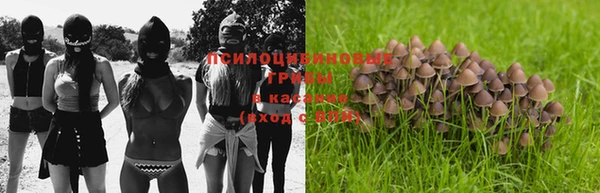 стаф Верхний Тагил